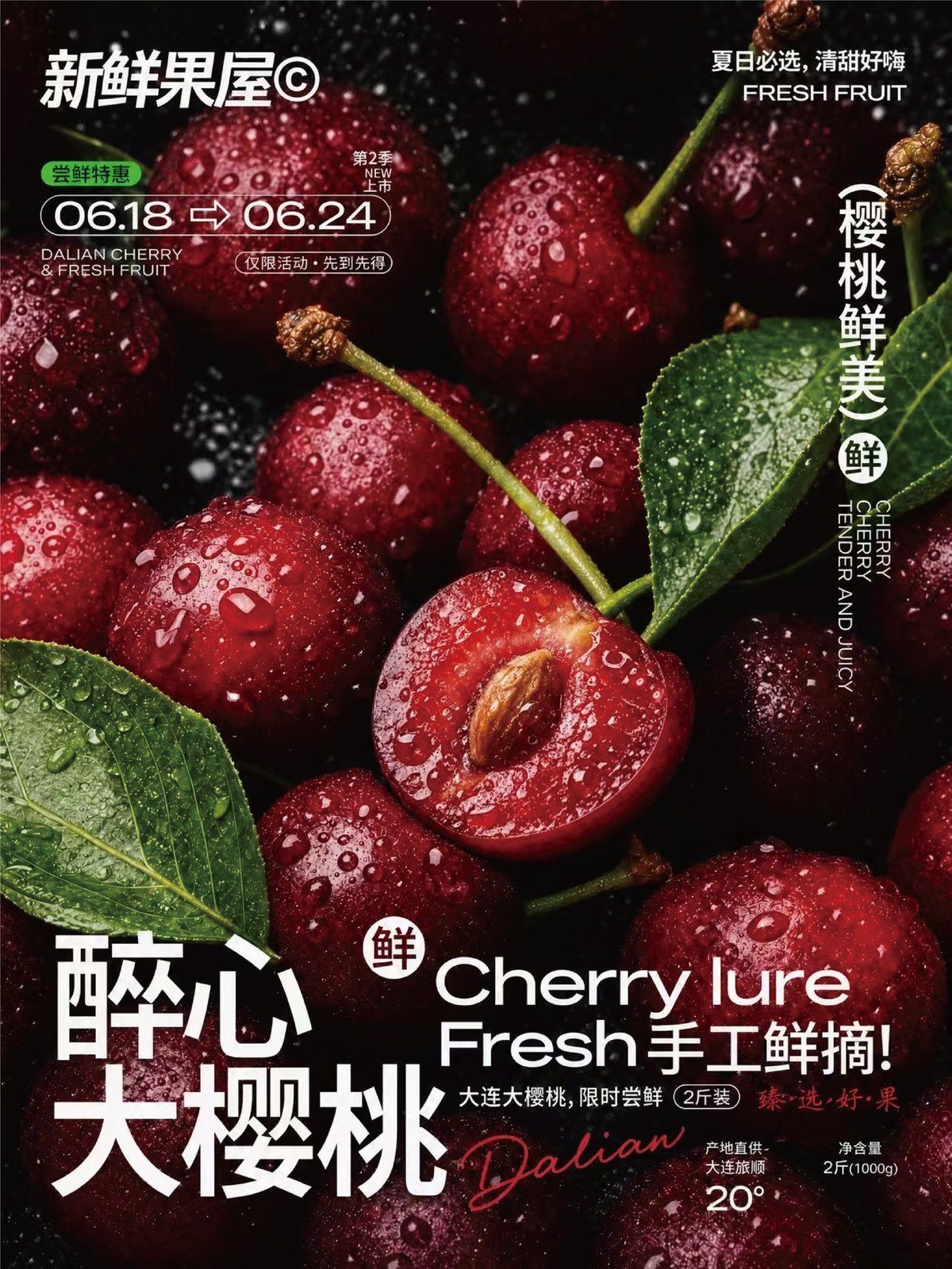 版式设计作品 11